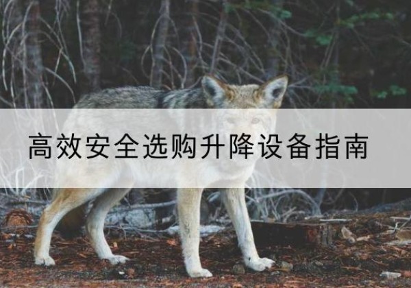 黔东南升降货梯厂家推荐-*安全选购升降设备指南