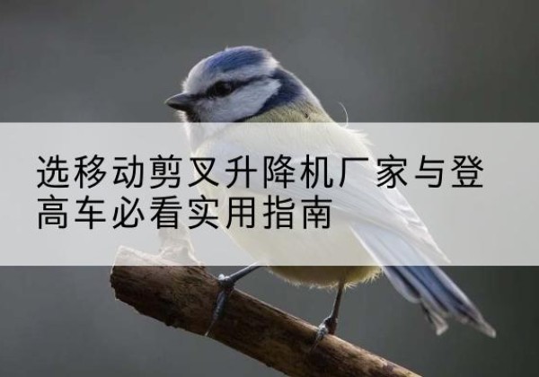 黔东南电动升降机厂家-选移动剪叉升降机厂家与登高车必看实用指南