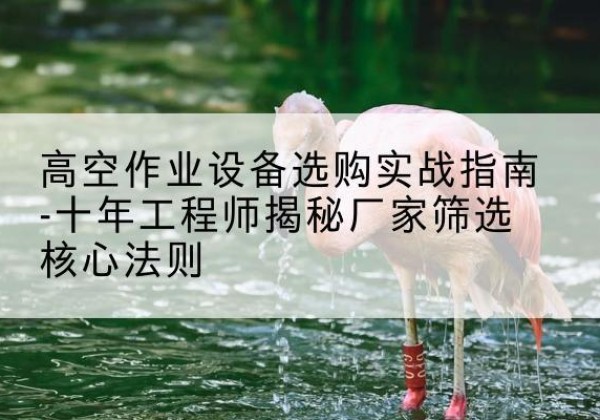 黔东南剪叉式升降机厂家-高空作业设备选购实战指南-十年工程师揭秘厂家筛选核心法则